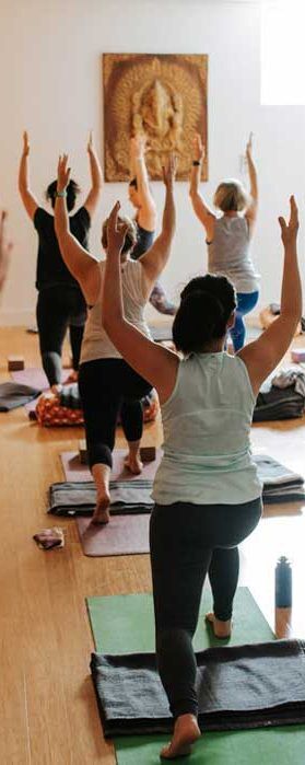 Yoga class in Holland Park, Brisbane